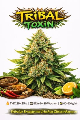 Tribal Toxin