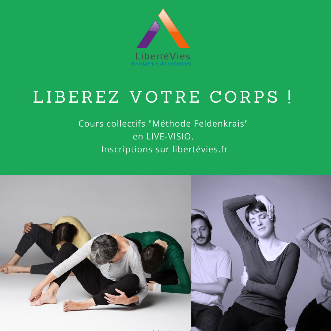 Feldenkrais VISIO cours collectif 1h ( A partir de 12€ selon forfait)