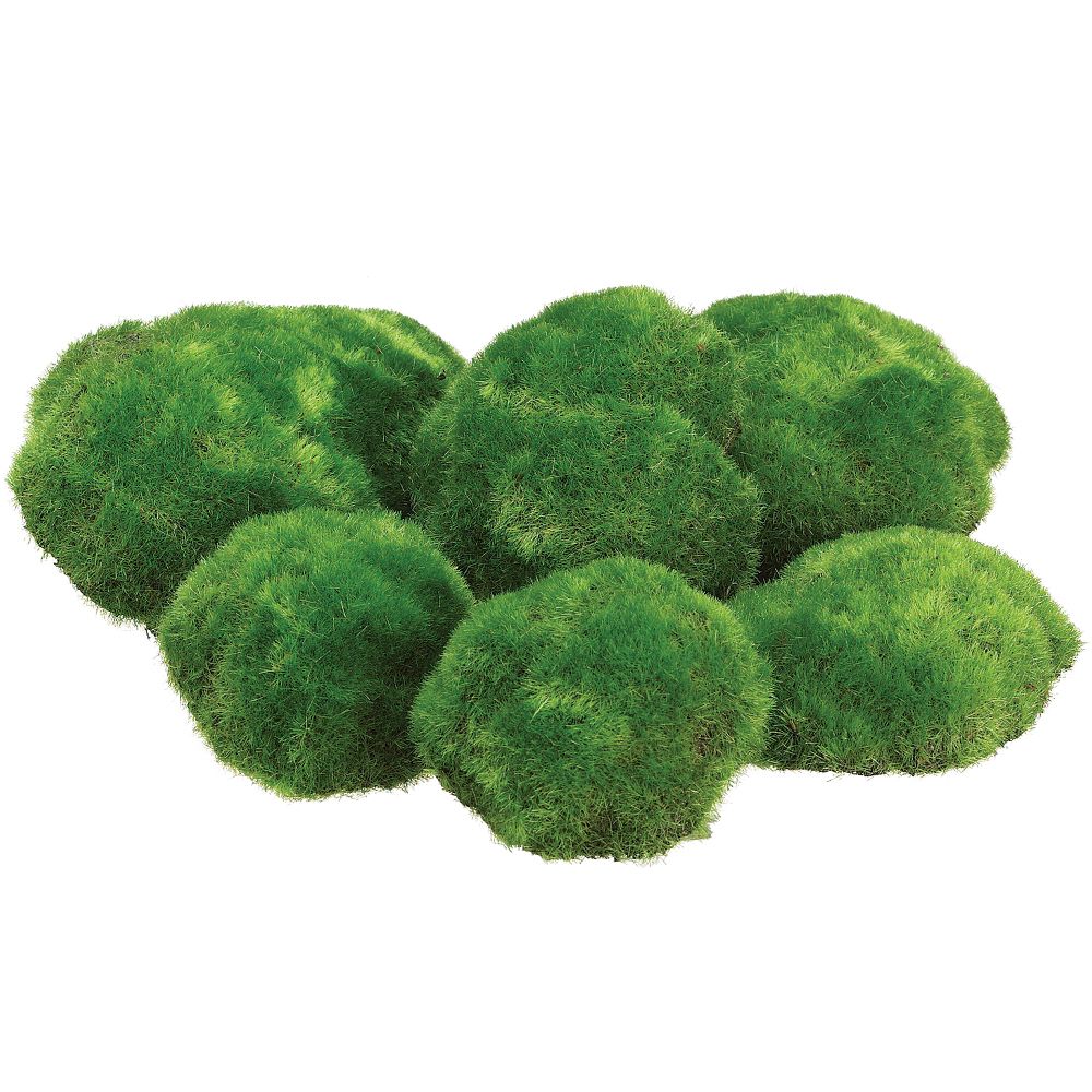 9.5W13"L AST MOSS BUNS(6EA/BG)