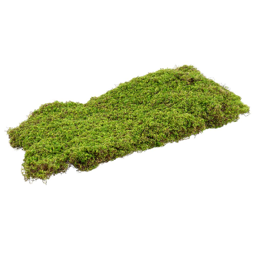 25.5x15.5"MOSS SHEET GR