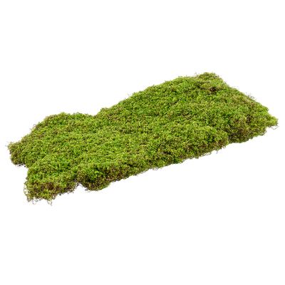 25.5x15.5"MOSS SHEET GR