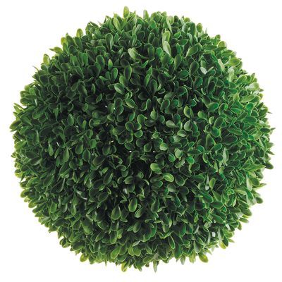 9"LG BOXWOOD BALL GR