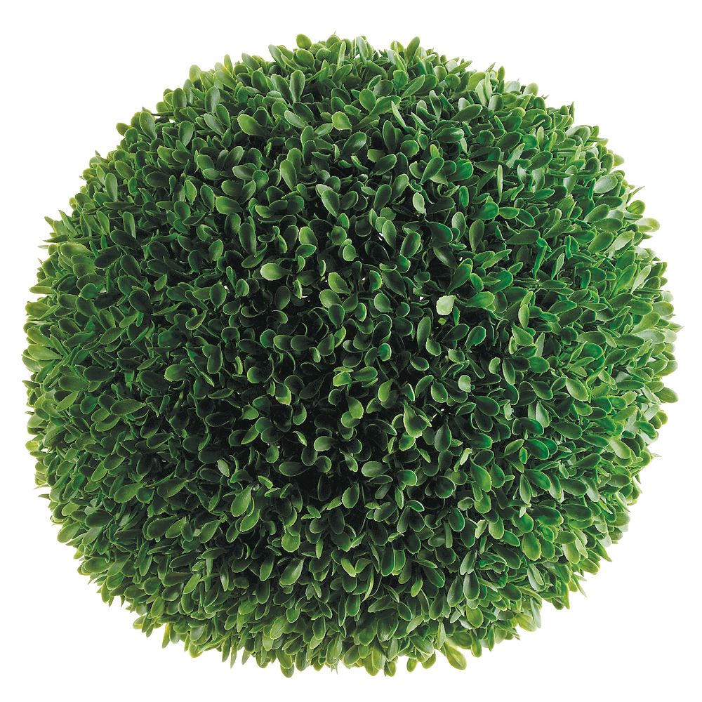 11"XL BOXWOOD BALL GR