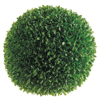 11"XL BOXWOOD BALL GR