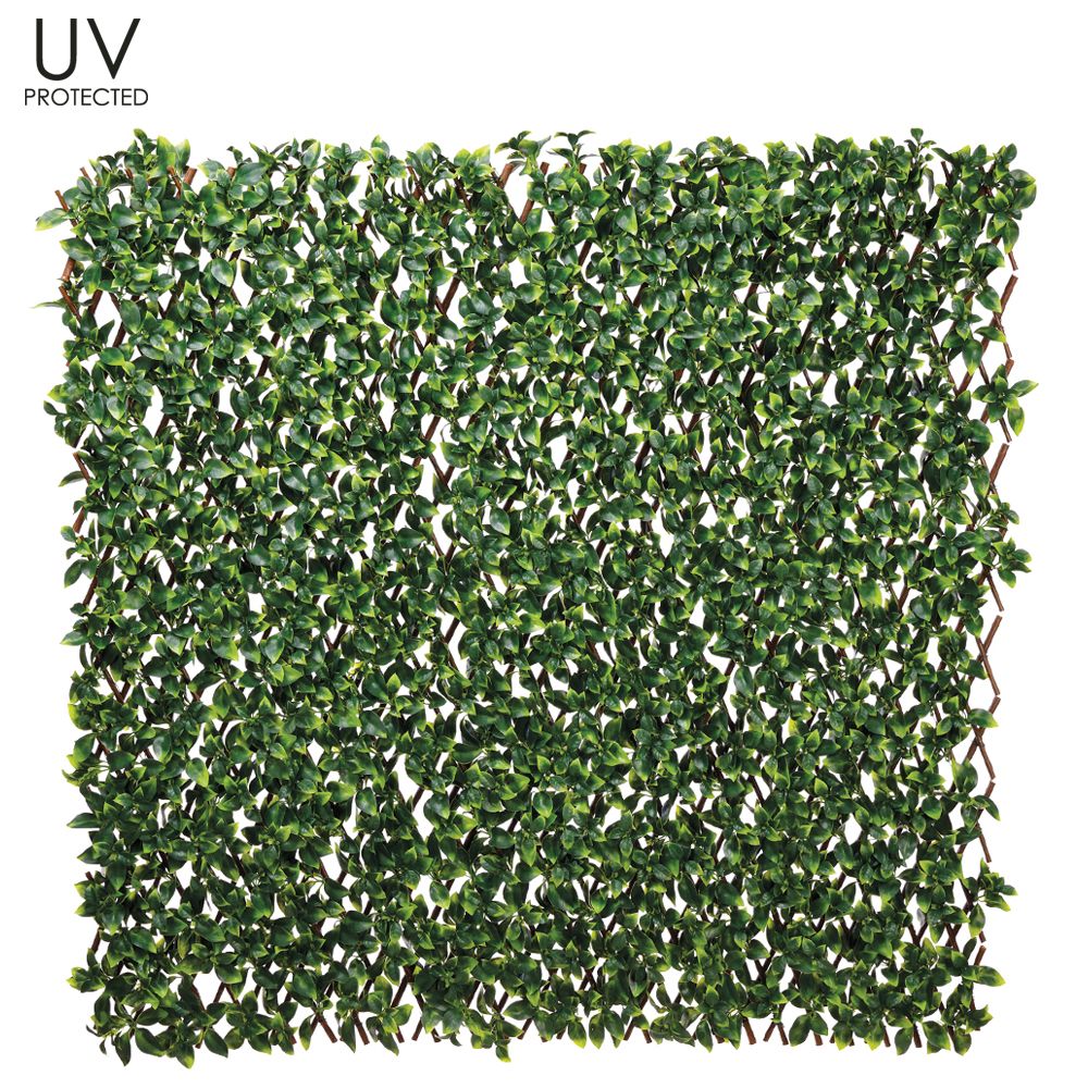 39.3W78.7"L UV GARDE.LF TRELL.