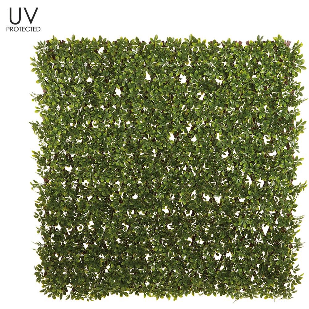 39W8.5"L UV EXT.BOXW.TRELLIS