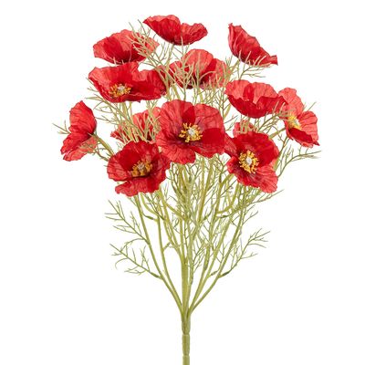21.5"POPPY BUSH X11 RE