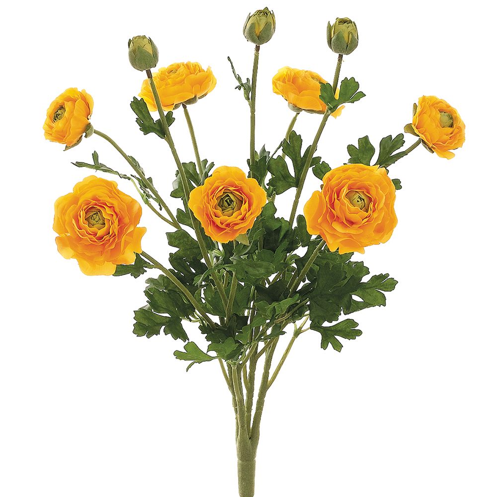 19"RANUNCULUS BUSH 7F3B YE