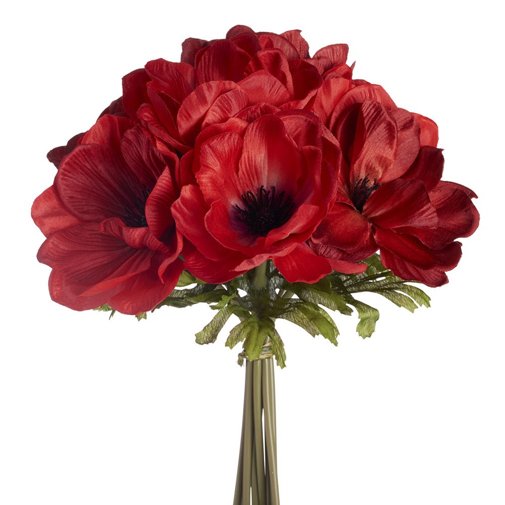 10"ANEMONE BUNDLE X8 RE/TT