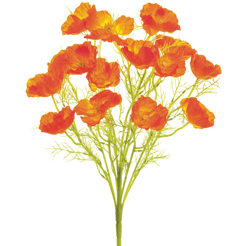 21.5"POPPY BUSH X11 OR