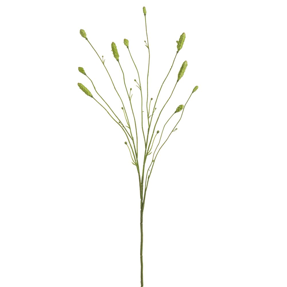 34"BURNET SPRAY X10 GR