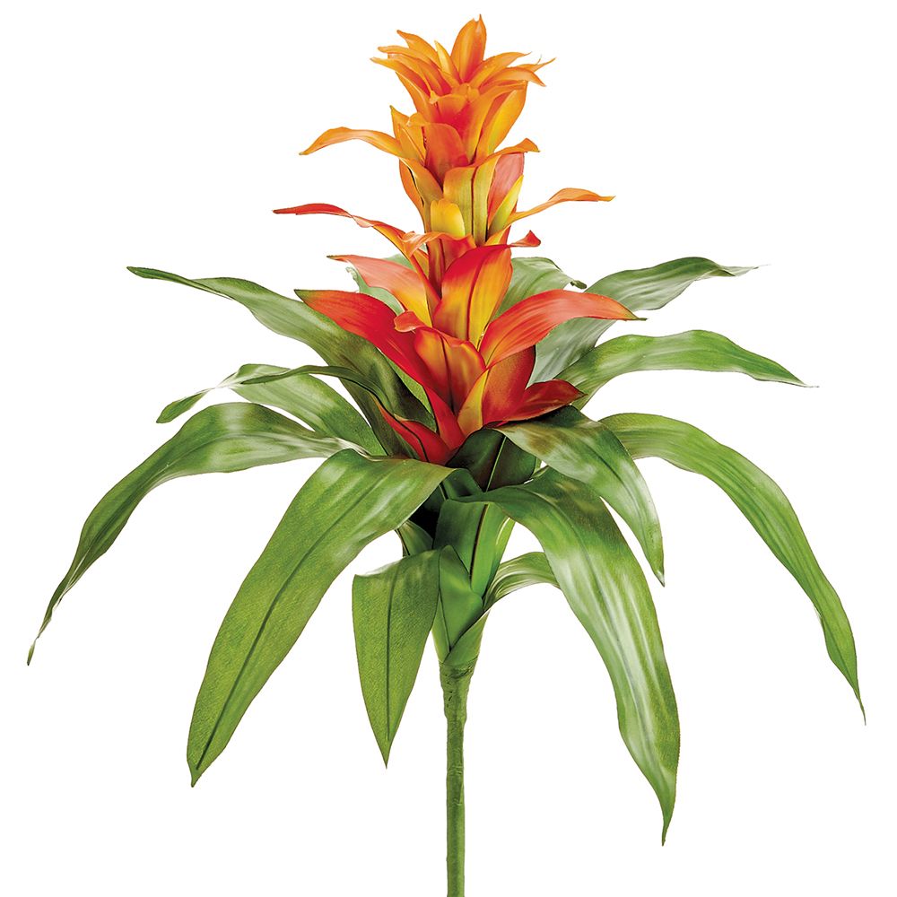21"BROMELIAD SPRAY OR/FL - SILK