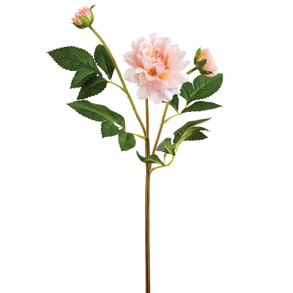 21"DAHLIA SPRAY PK/SO