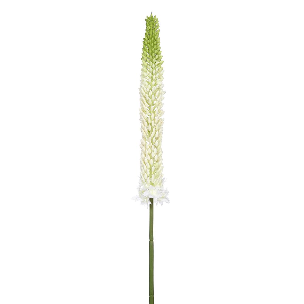 33"FOXTAIL LILY SPRAY WH/GR