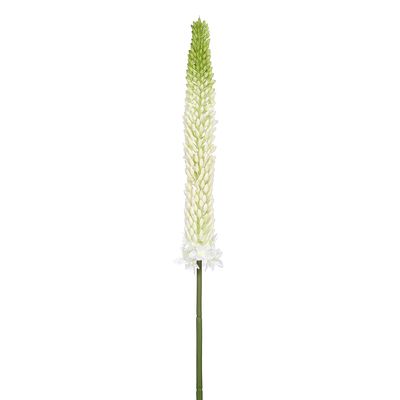 33"FOXTAIL LILY SPRAY WH/GR