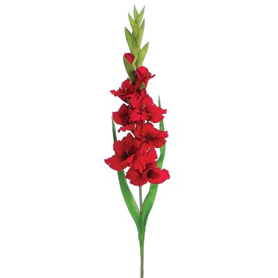 36.6"GLADIOLUS SPRAY RE