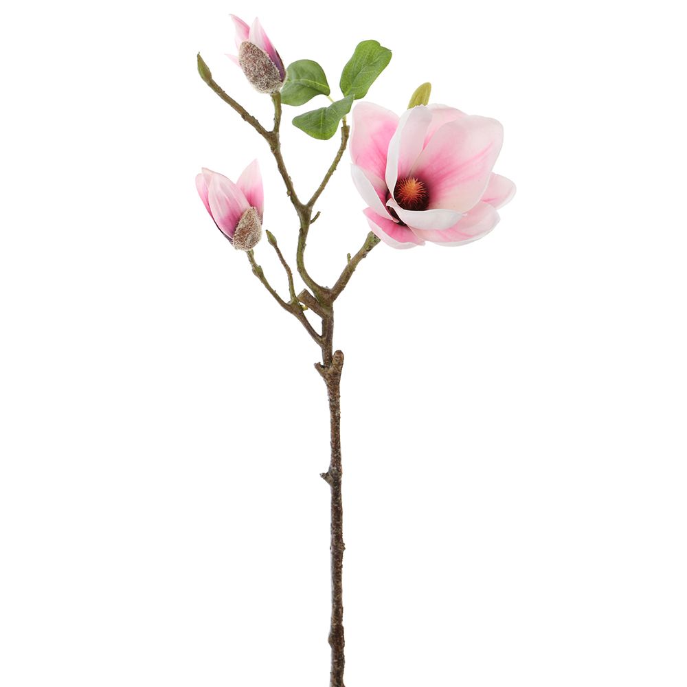 24"MAGNOLIA SPRAY PK/SO