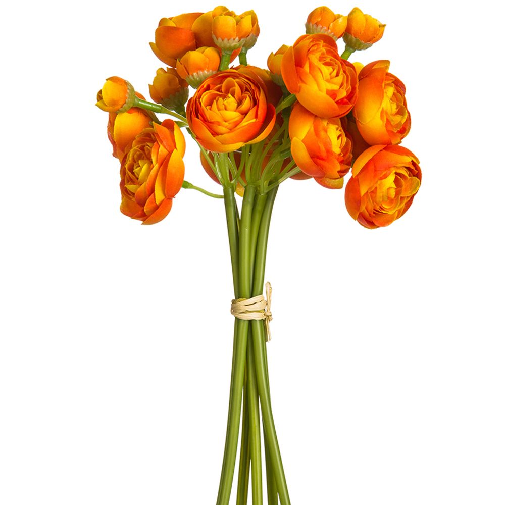 10"MINI RANUNCULUS BUNDLE X6 OR