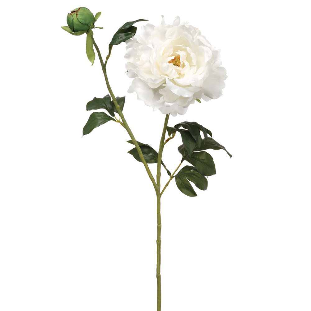 31"PEONY SPRAY WH