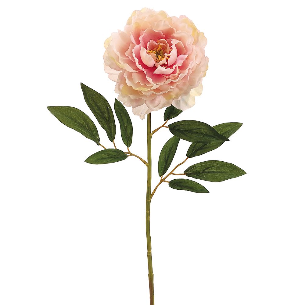 29"PEONY SPRAY RO/CR