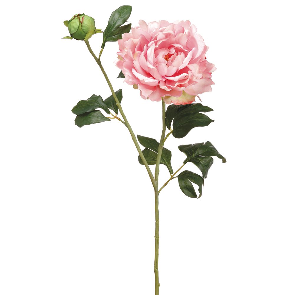 31"PEONY SPRAY PK