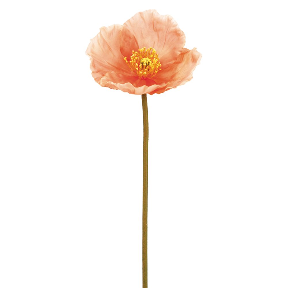 23"POPPY SPRAY SA