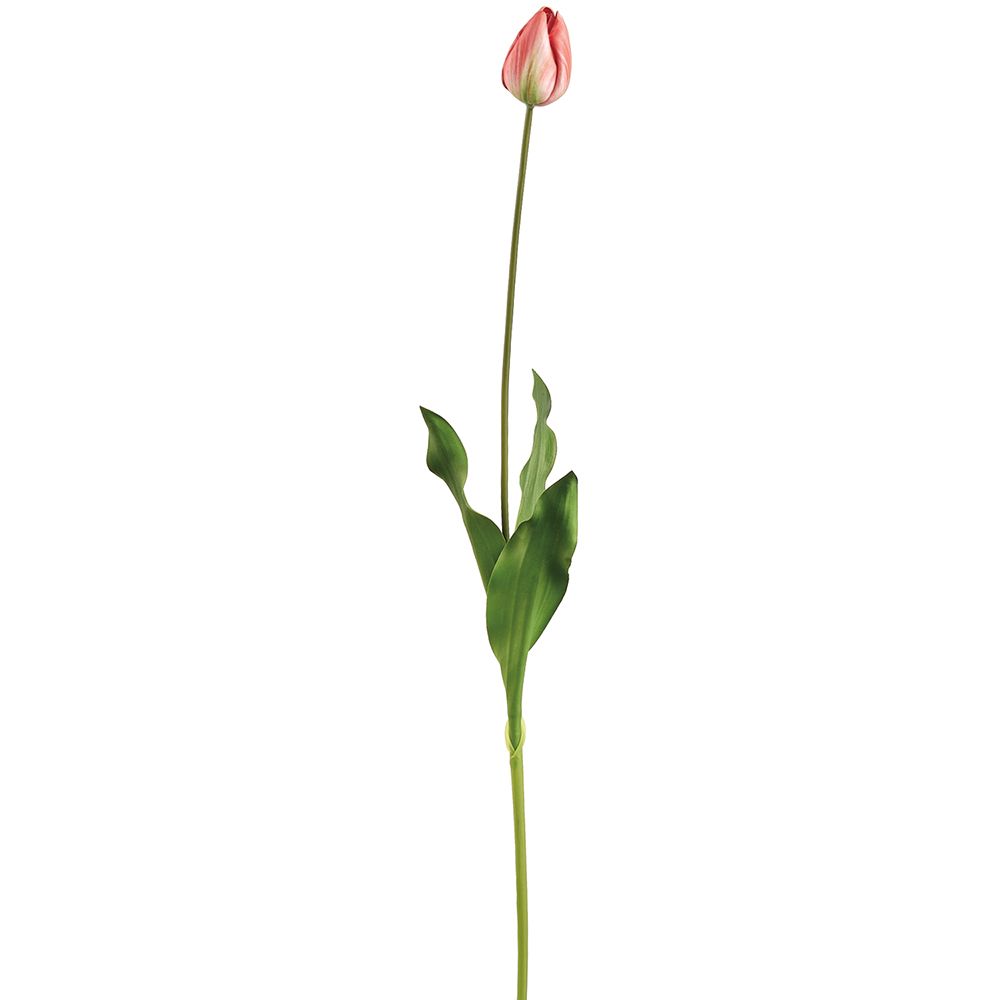 32"TULIP SPRAY CO/GR