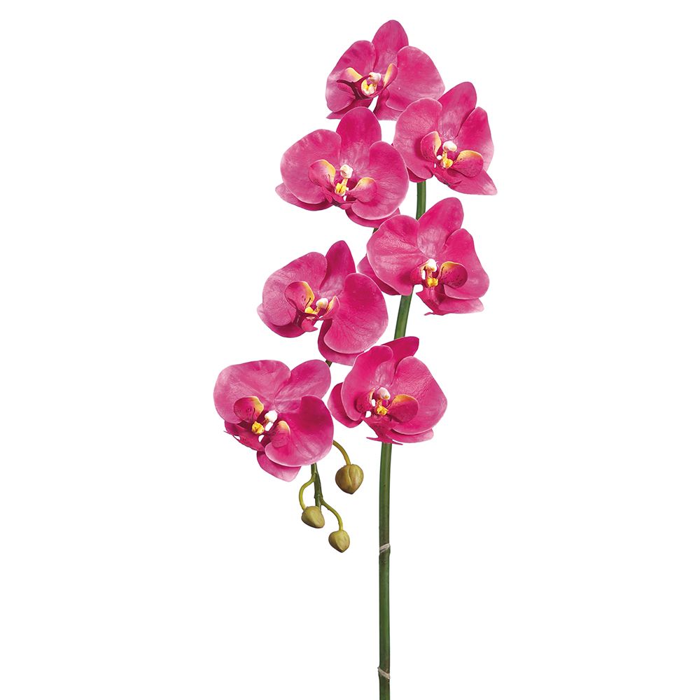 36"PHALAENOPSIS SPRAY W/7F3B