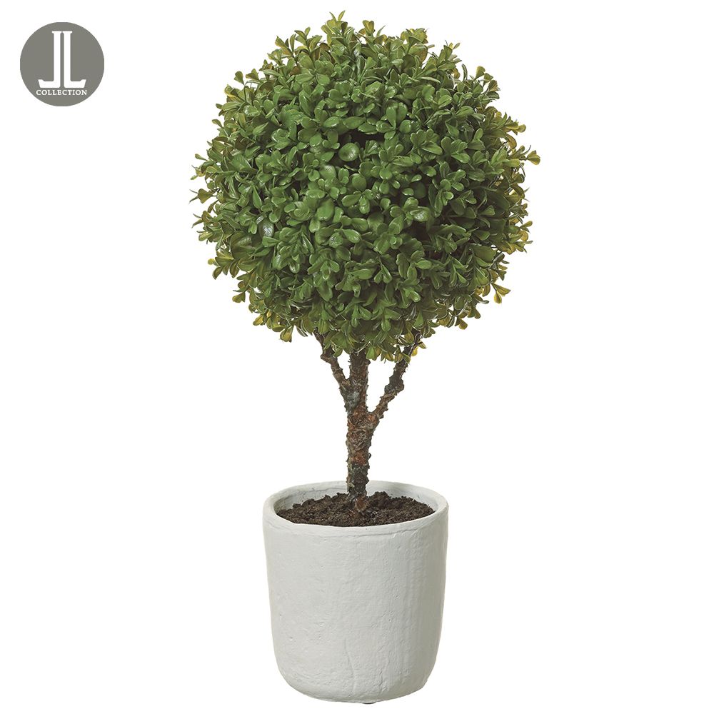 22"BOXWD BALL TOPIARY IN POT