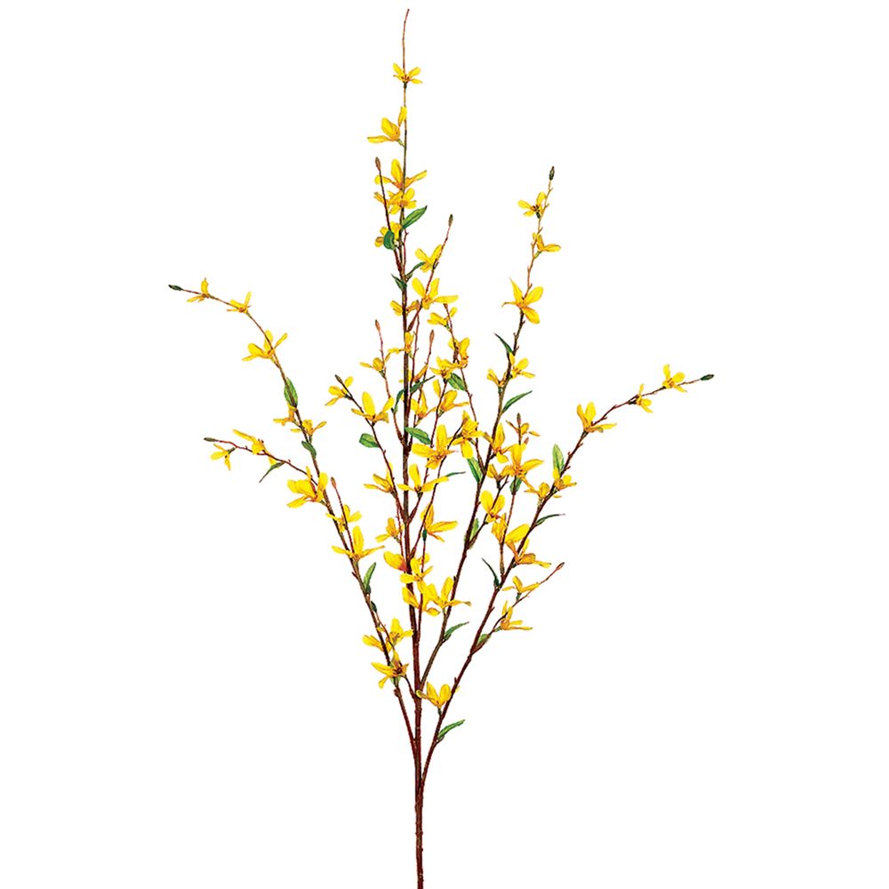 38"FORSYTHIA SPRAY YE