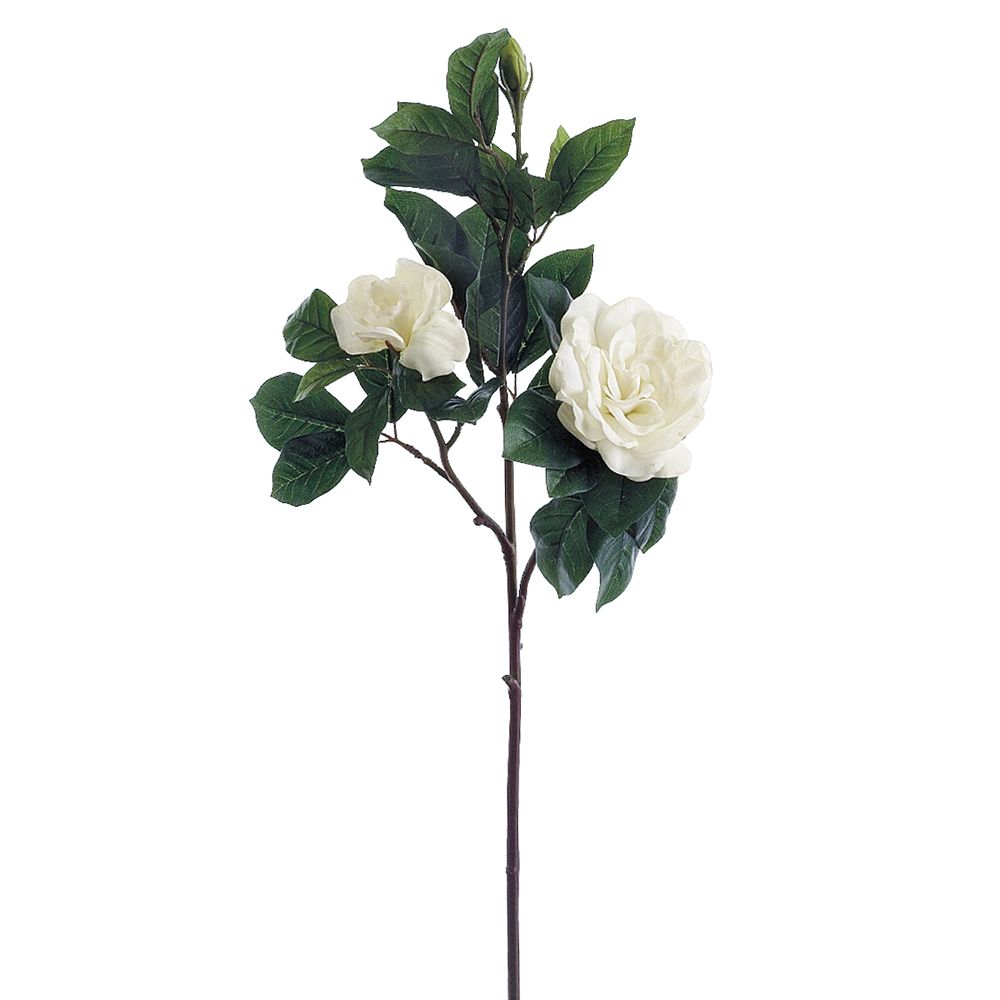 31"RT GARDENIA SPRAY 2F1B WH
