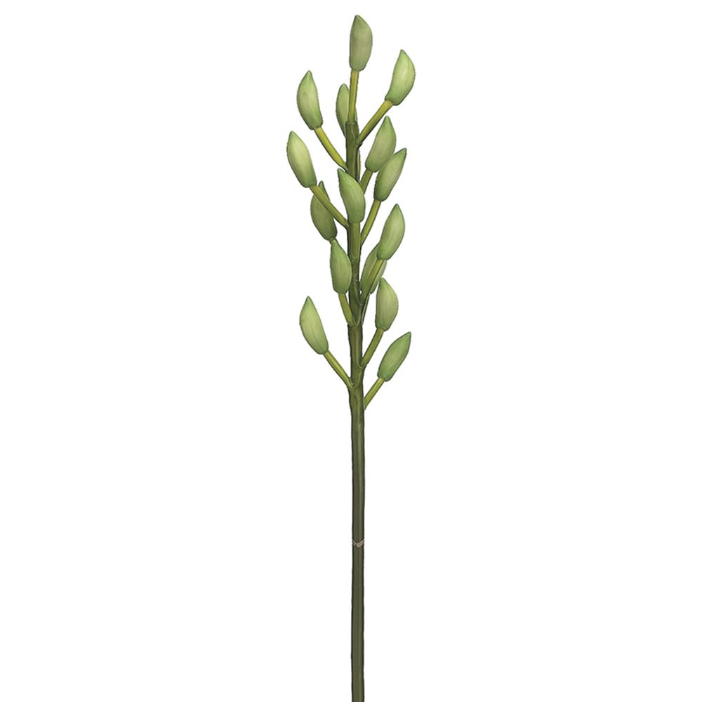 46"CYMBIDIUM BUD SPRAY GR