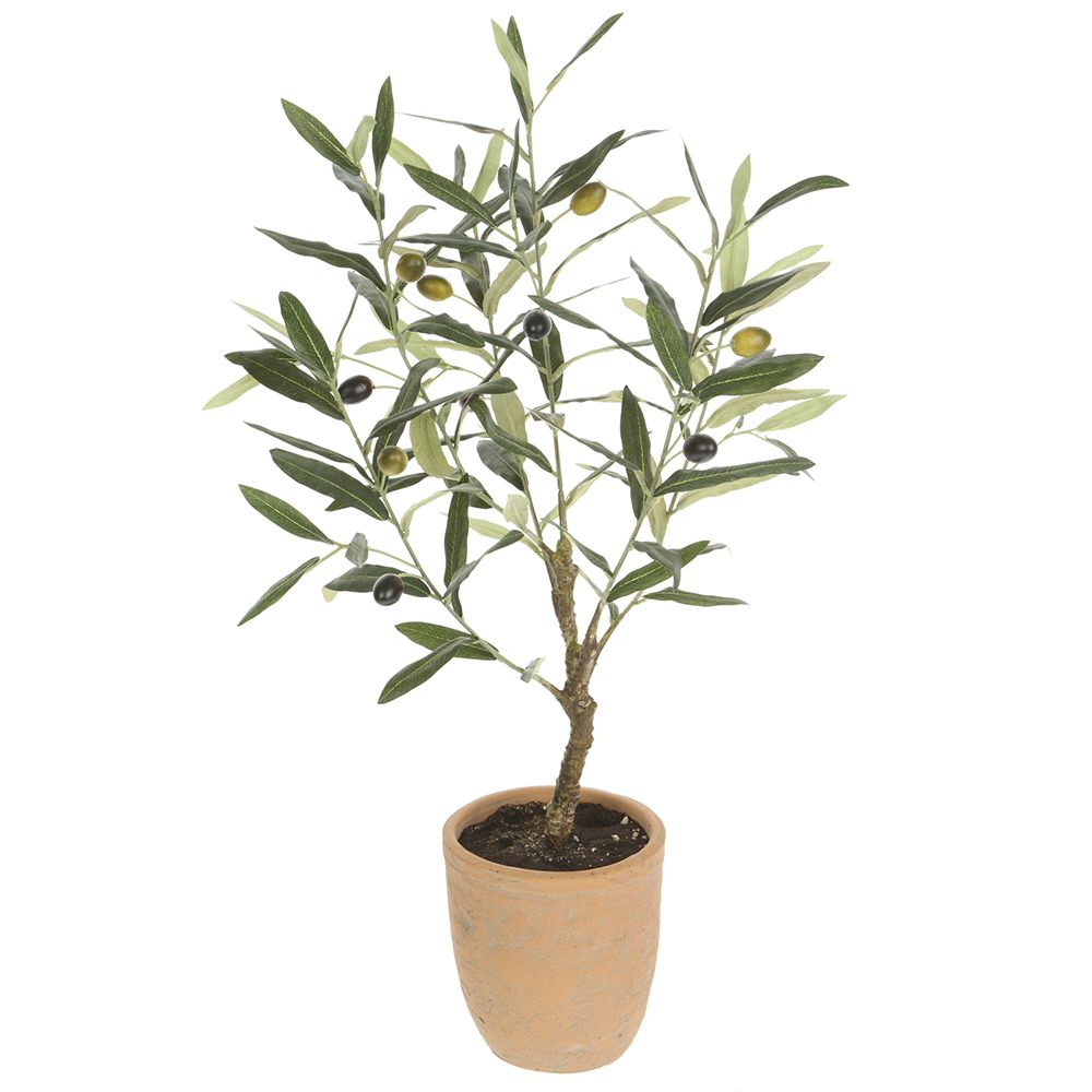 26"OLIVE TREE IN CEMENT POT GR