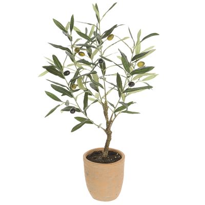 26"OLIVE TREE IN CEMENT POT GR