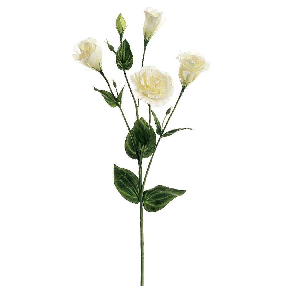 30"LISIANTHUS SPRAY CR/WH