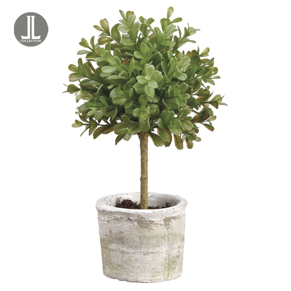 12"BOXWOOD TOPIARY IN CLAY POT