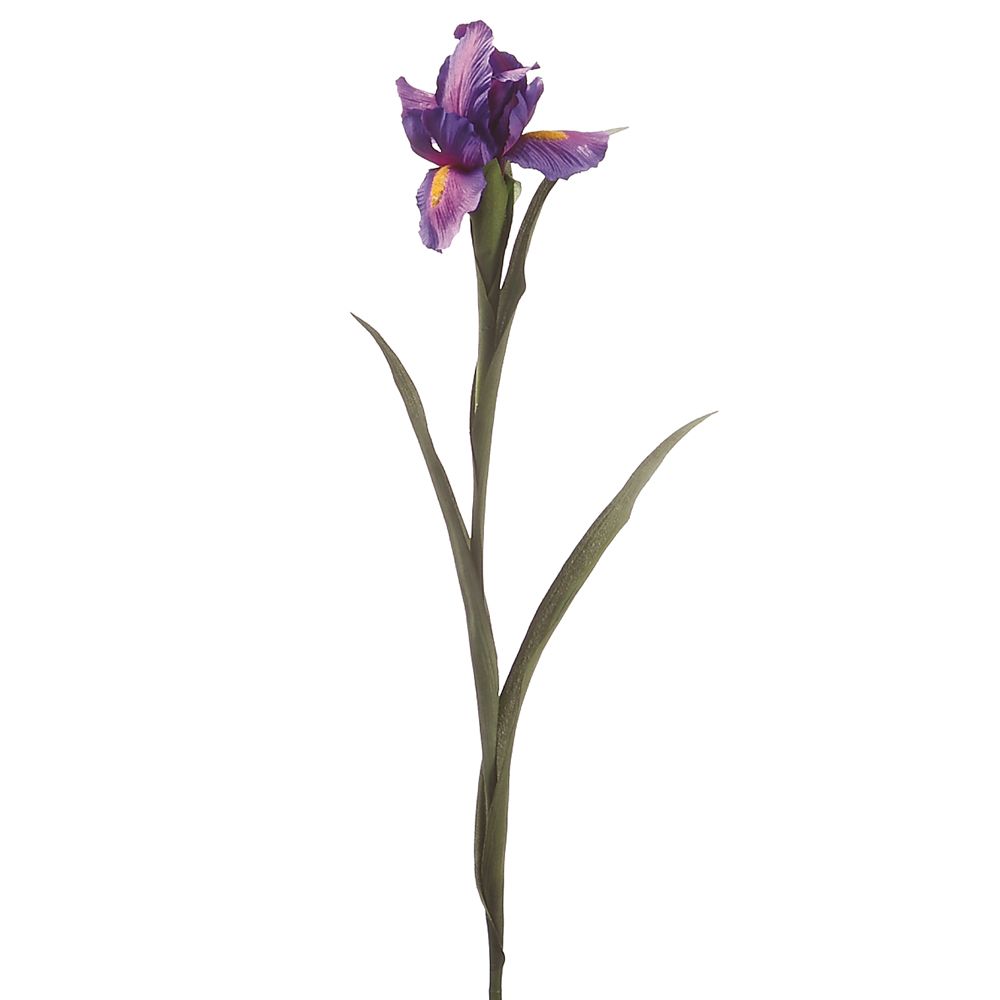 28"IRIS SPRAY PU