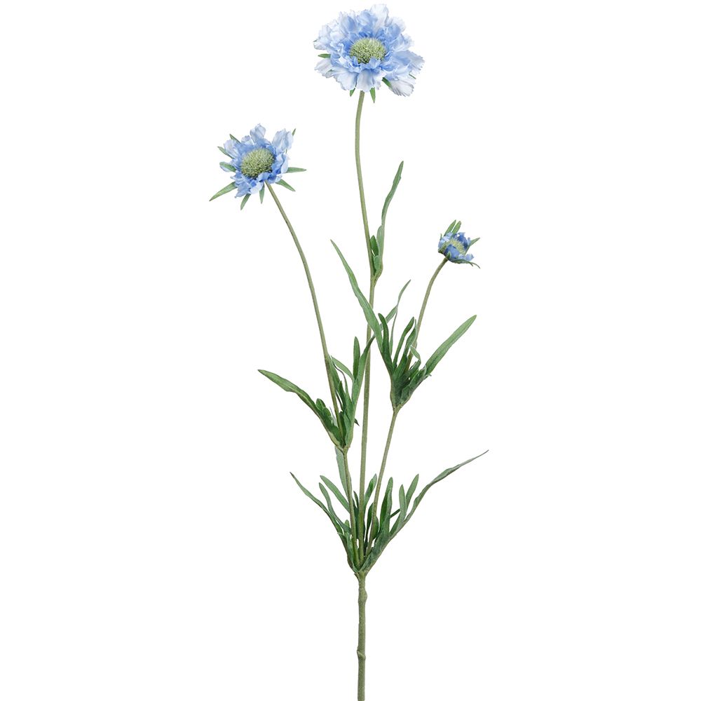 25.25"SCABIOSA SPRAY HE