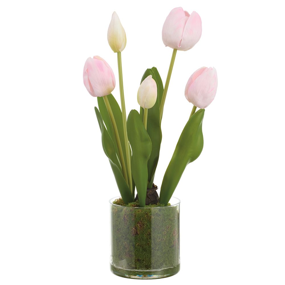 15"TULIP IN PLASTIC POT BS
