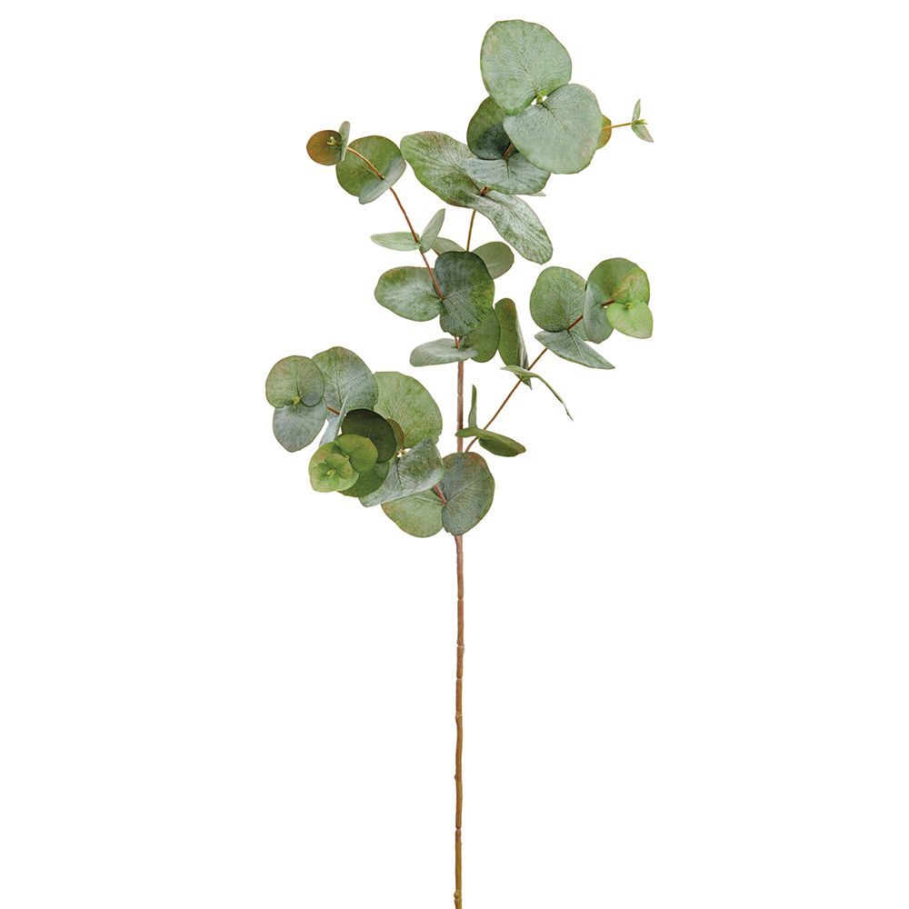 34"EUCALYPTUS LEAF SPRAY GR/GY
