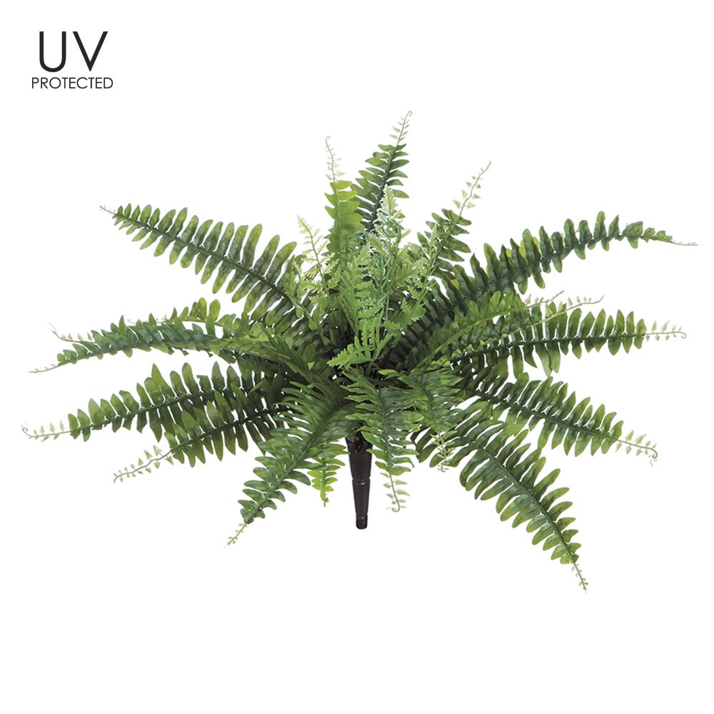 18" UV PROTECTED BOSTON FERN B