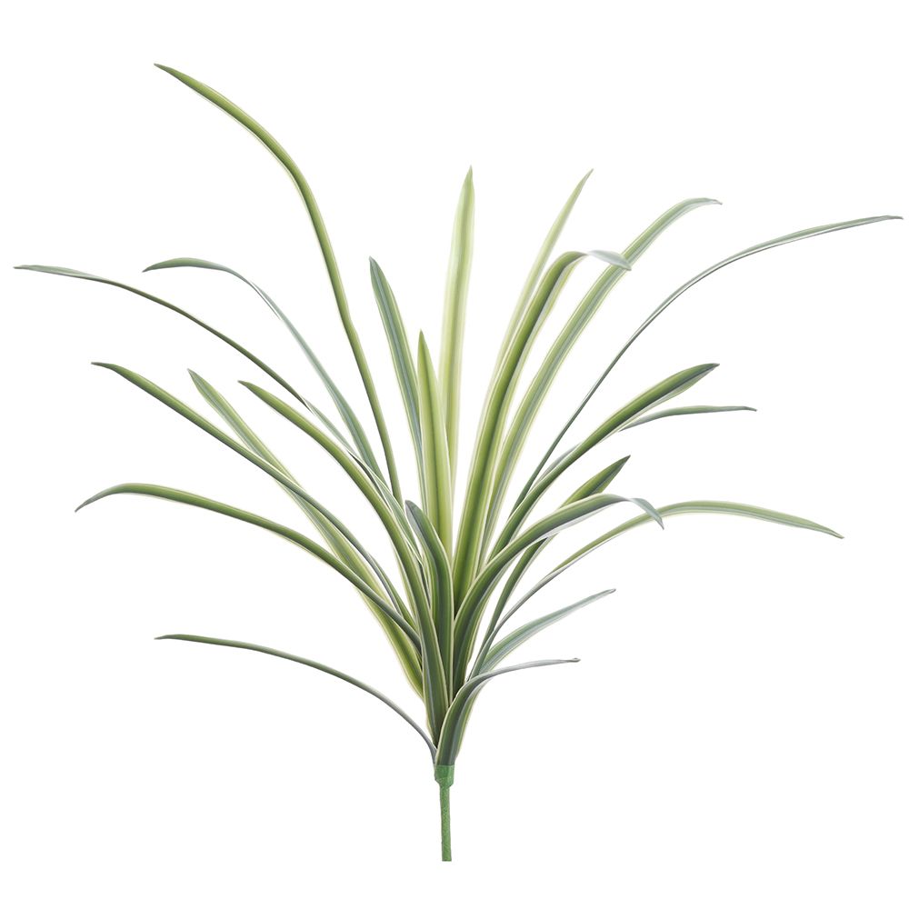 20"LILY TURF GRASS BUSH GR/VG