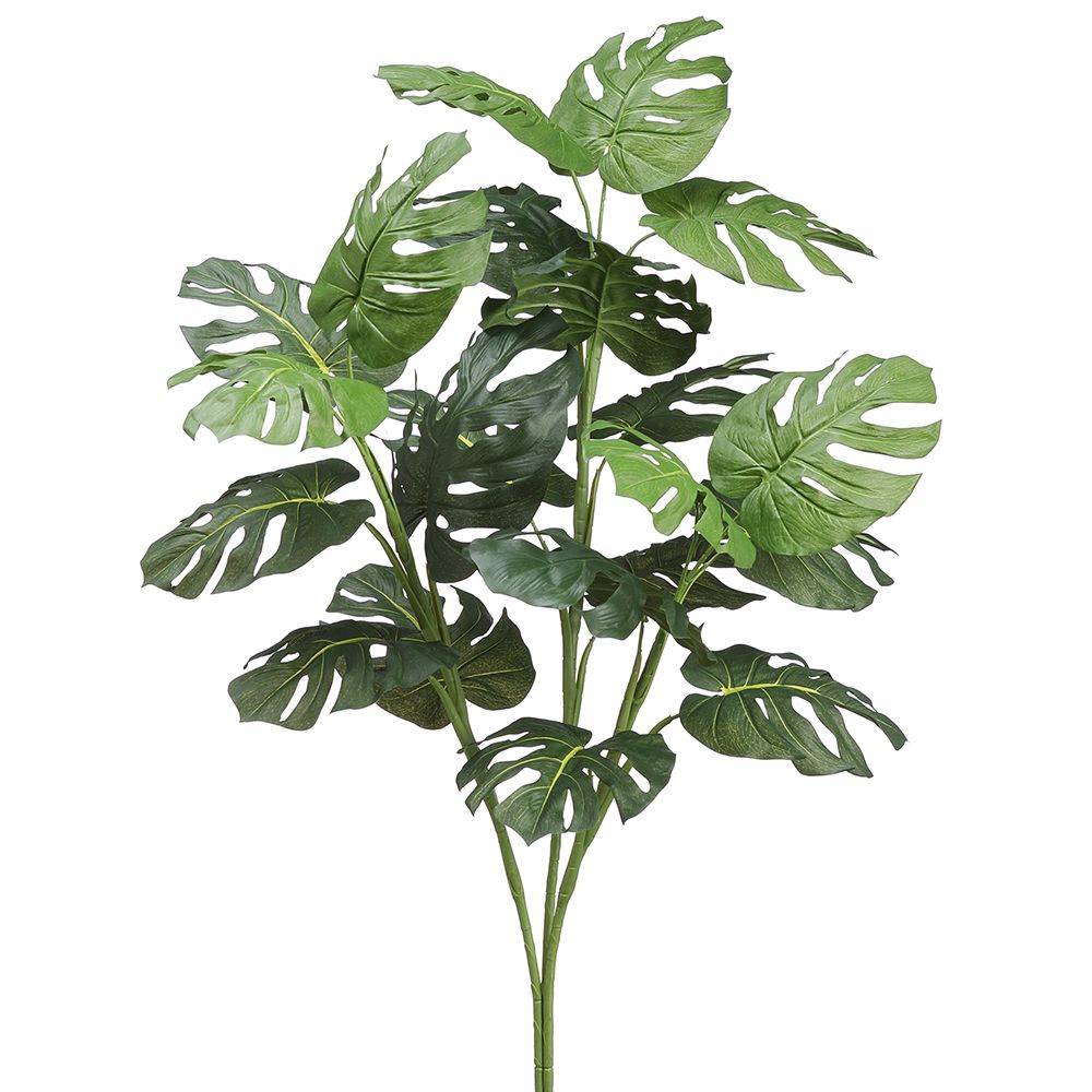 3'SPLIT PHILO PLANT X3 GR