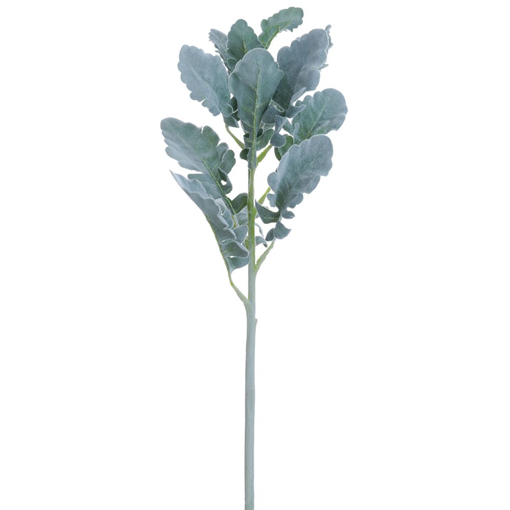 18"DUSTY MILLER SPRAY GR/GY