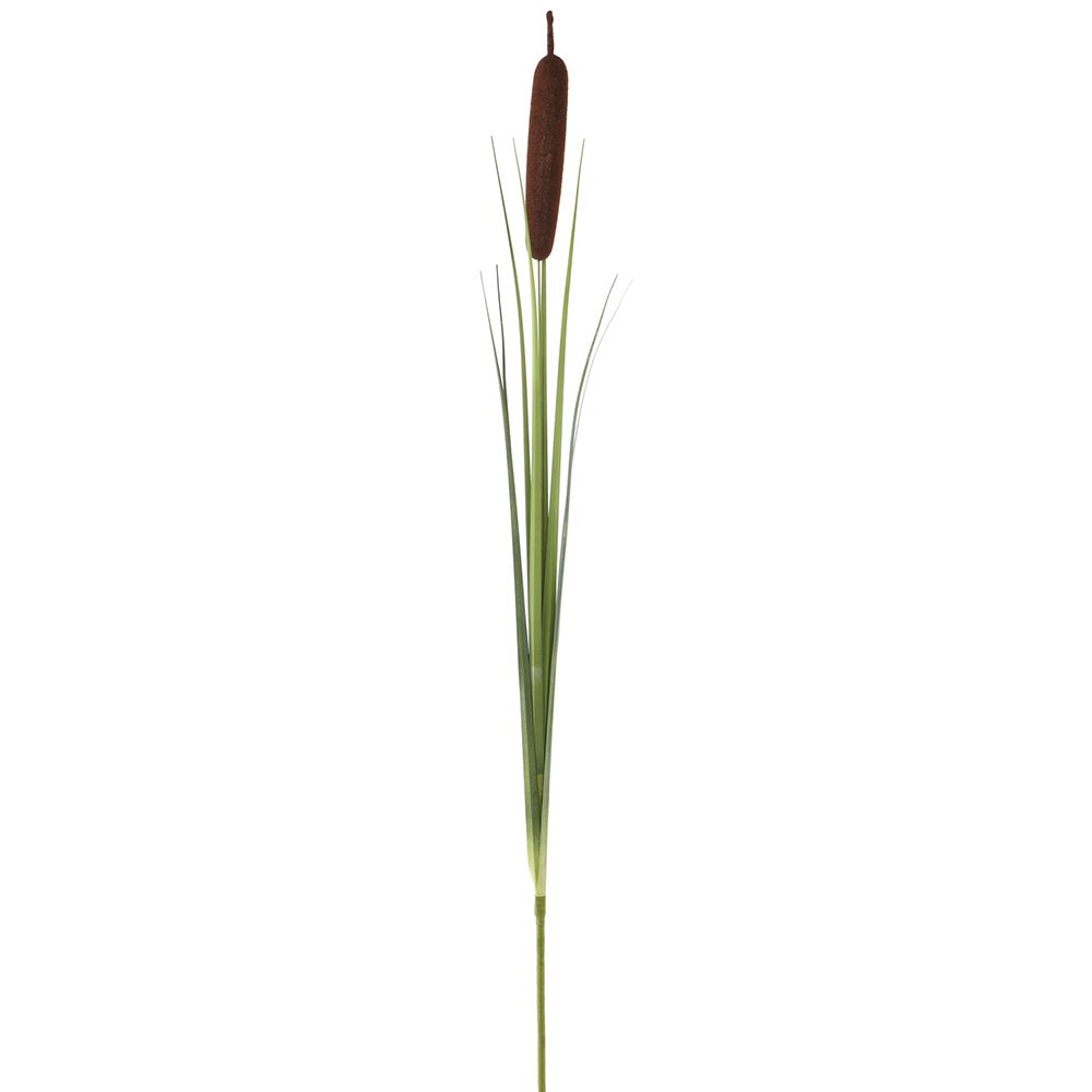 36"CATTAIL GRASS SPRAY BR/GR