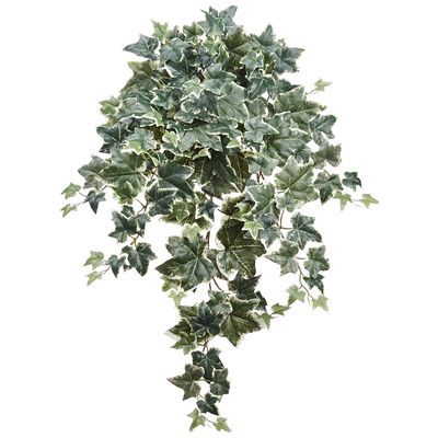 30"PUFF IVY HG/BU.X9 W/156L VG