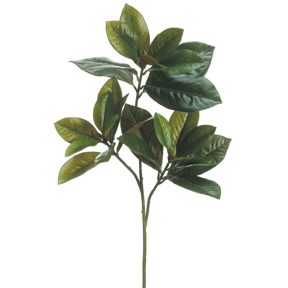 26"MAGNOLIA LEAF SPRAY GR