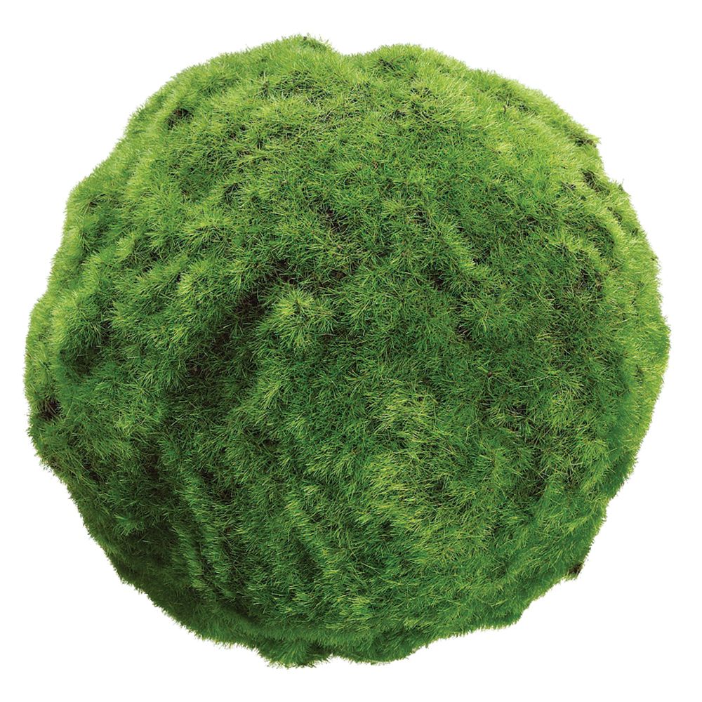 7"MOSS BALL GR