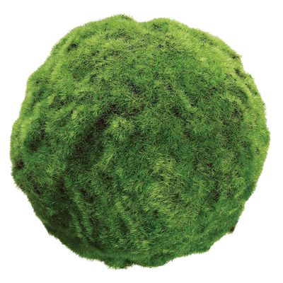 7"MOSS BALL GR