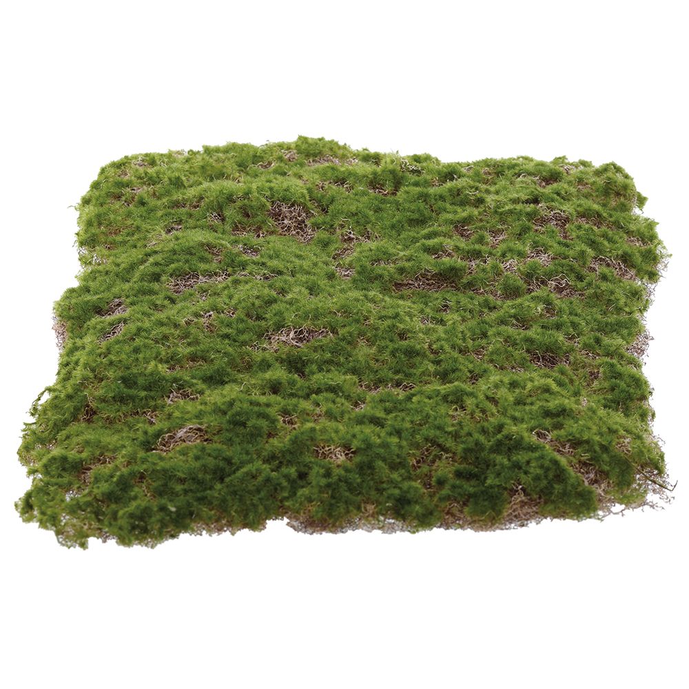 15.5"WX23.5"L MOSS SHEET GR